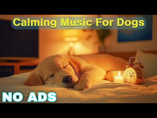 12 Hours of Dog Calming Music for Dogs 🎵 Dog Sleep Music 🐶 Separation Anxiety Relief Music ⭐No Ads