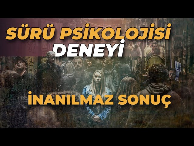 Psikolojik Deneyler Serisi #2 I Fark Yaratmak Cesaret İster! Asch (Uyum) Deneyi