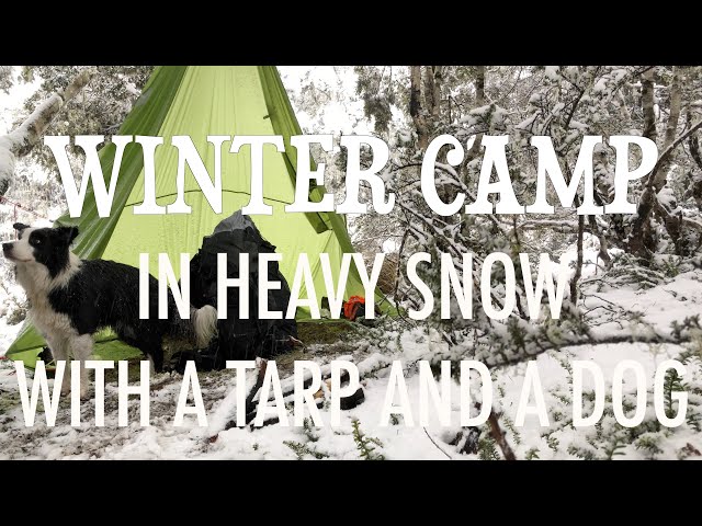 Camping in the snow - Tarp, bivy, quilt and dog