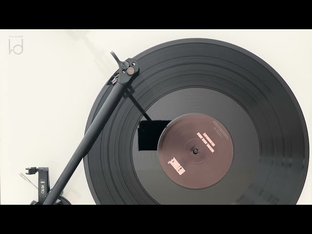 Beyoncé - Pretty Hurts [Vinyl Visualizer]