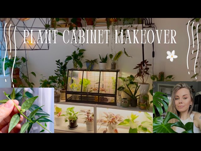 Chattless cozy rearranging 🌿 Plant Cabinet Makeover ✨