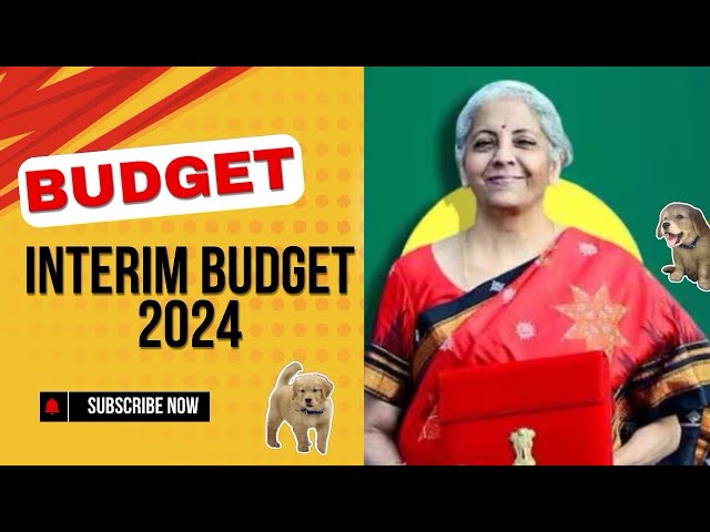 Budget 2024 Summary | Nirmala Sitharaman  Interim Budget 2024 in short | Anything for pet owners??