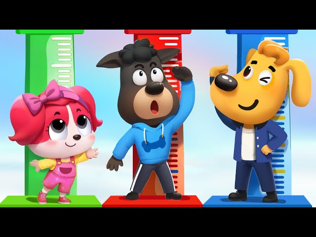 🔴LIVE | Health Checkup | Kids Story about Health | Safety Rules for Kids | Sheriff Labrador