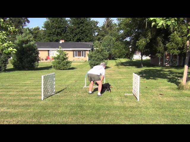 Using Gates to Train Obstacle Focus