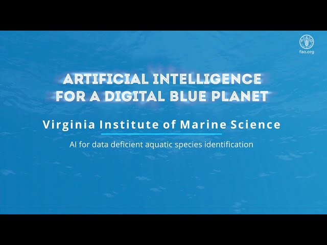 FAO AI4DBP AI for data deficient aquatic species identification (deep water sharks)