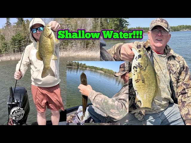 Multi-Species Shallow Water Fishing (Unexpected Catch!!) #pike #bass