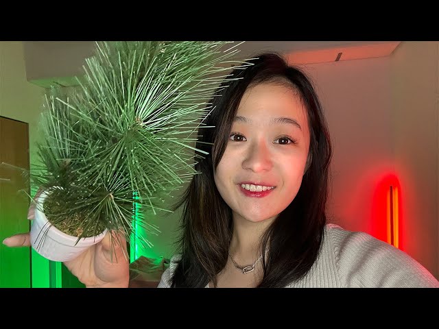 ASMR VR180 | tingle you with tiny trees ~ 🎄