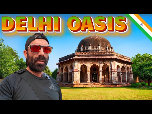 🇮🇳 Birds, Beasts & Beauty in Lodhi Garden! 🌳