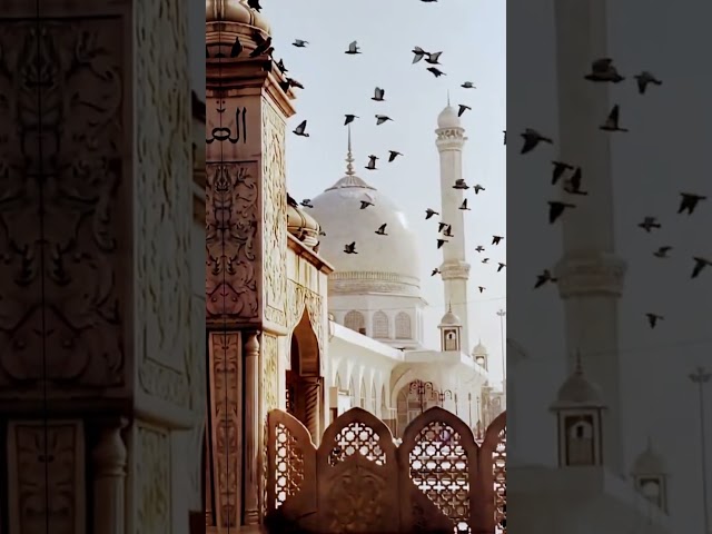 Beautiful Islamic Status #islamicstatus #islamicvideo #shorts #sad #islamicquotes