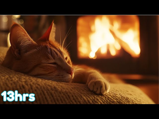 12 Hours of Cat Sleep Music - Peaceful Instrumentals to Ease Anxiety [2025]