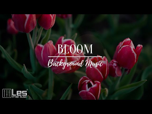 Bloom : Solo Piano Romantic Peaceful Background Music