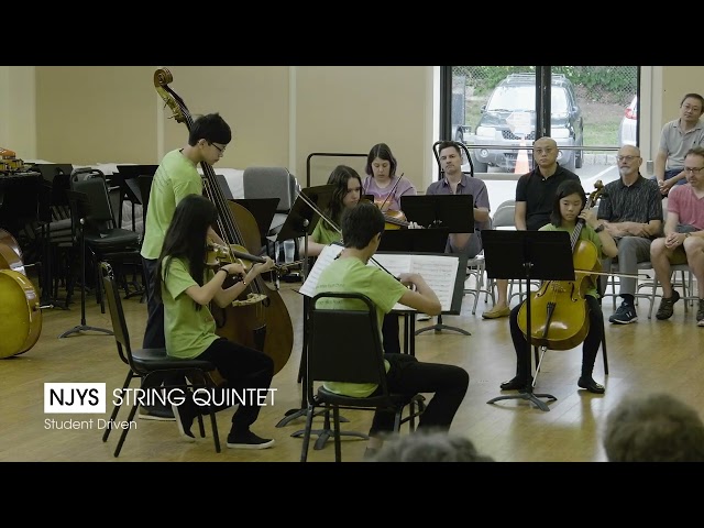 NJYS Summer Orchestral Camp