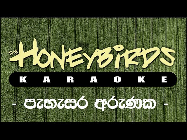 Pahasara Arunaka Karaoke (Without Voice ) පැහැසර අරුණක කැරෝකේ