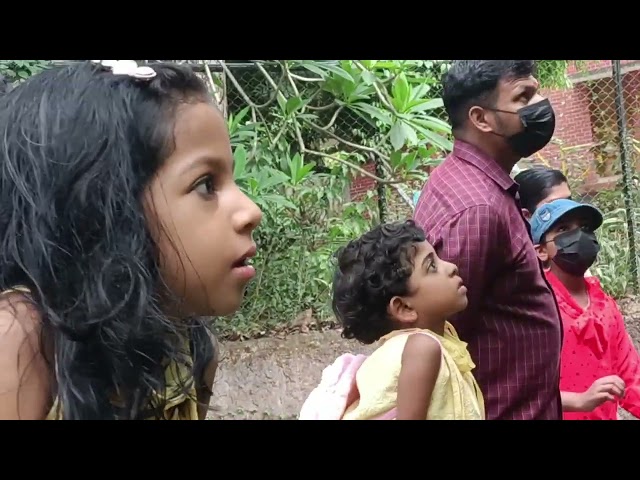 A visit to the zoo|Thiruvananthapuram zoo|