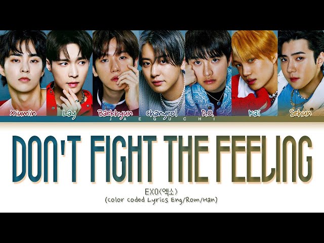 [1 HOUR] EXO Don't fight the feeling lyrics (엑소 Dont fight the feeling 가사) (Color Coded Lyrics) LOOP