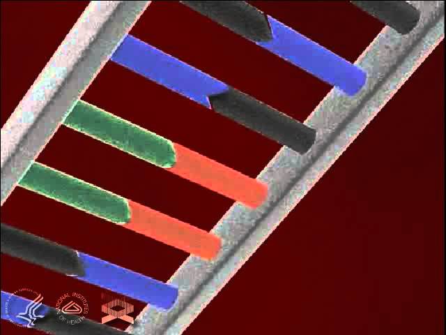 Genetic Code 3-D