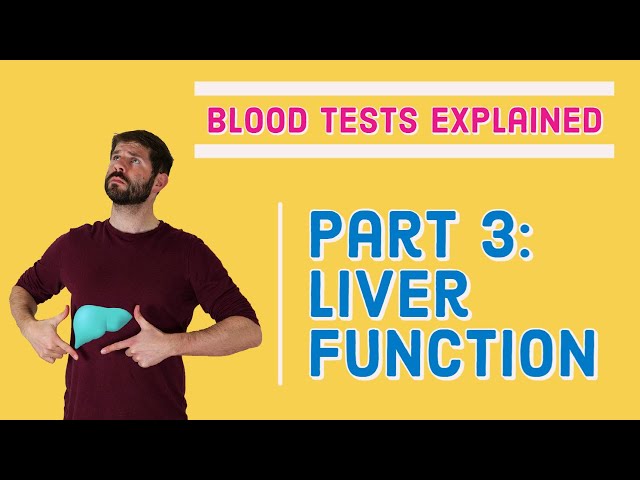 Liver Function (LFT) Blood Test - What does it mean?