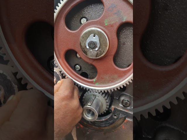 Massey Ferguson timming gear wheel s