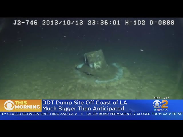 DDT Dump Site Off Coast Of Southern California Even Bigger Than Feared