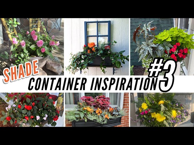 YOUR Best SHADE Container Garden Ideas! -- PART 3 — 100% Viewer Submitted Inspiration