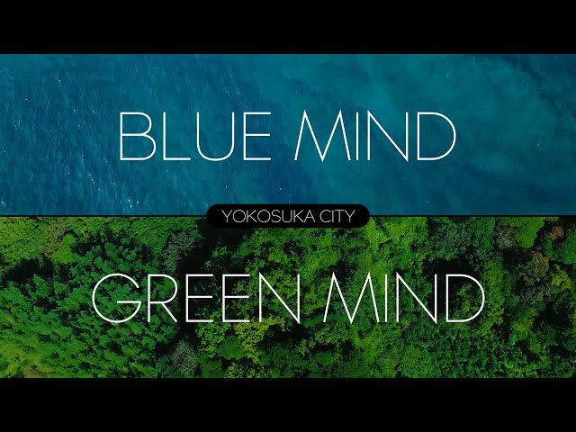 【横須賀市】BLUE MIND×GREEN MIND（15秒ショートムービー）