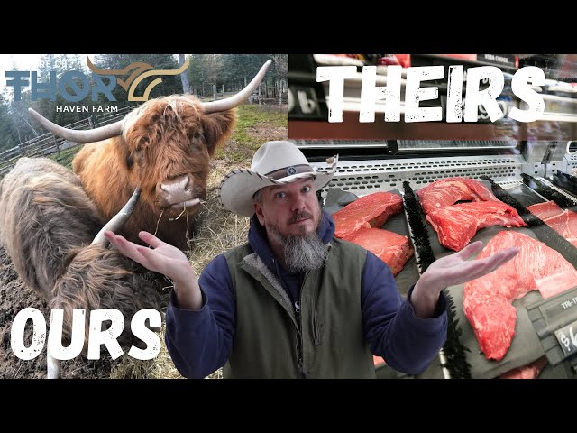 The Cost Of Our Highland Meat VS Store Bought