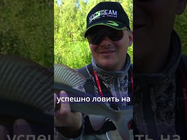 Спиннинг для путешествий! Обзор Nibble Travel от разработчика #norstream #рыбалка #fishing #спиннинг