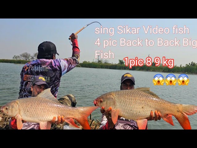 "Singh Shikar Hooks the Legendary Rohu – Watch the Thrill!" | "Rohu Catch with Singh Shikar