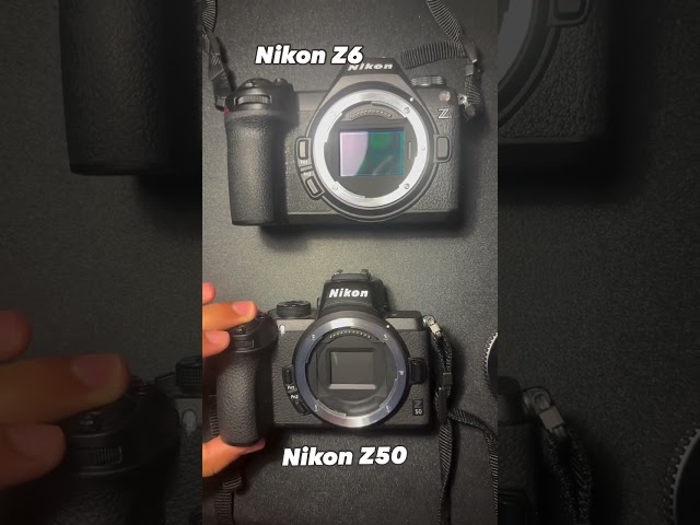 Nikon Z5 Z6 Shutter Speed  #shorts