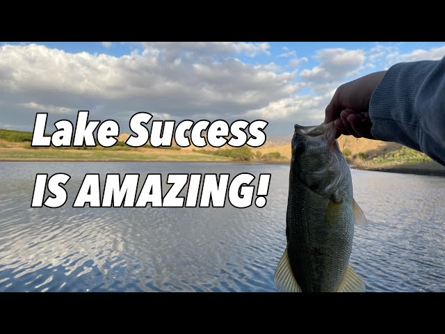 Lake Success is the BEST Lake in California?? (Porterville Fishing)