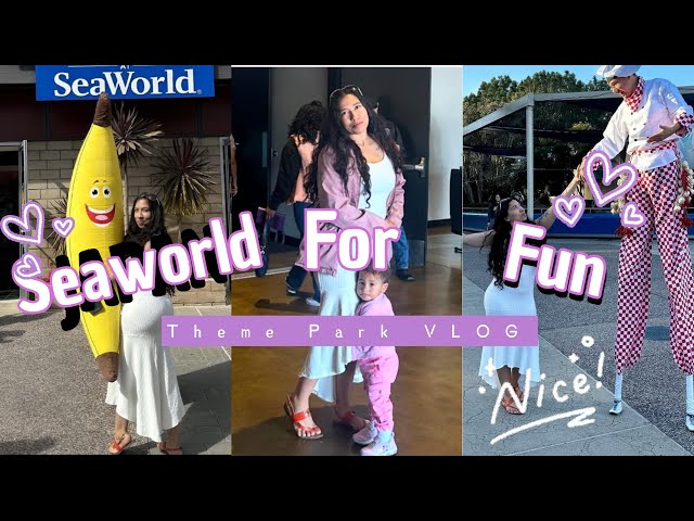 Spend a fun day with us- Seaworld #rollercoaster #themepark #travel #publictv #vlog #dance #viral