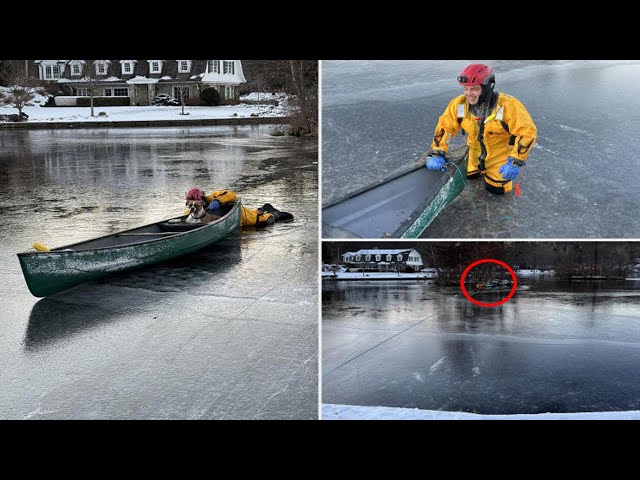 Dog rescued after falling through ice on NJ lake