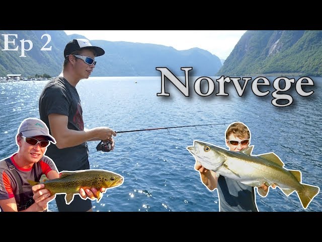 On doit trouver à manger en montagne | Norvege Ep 2