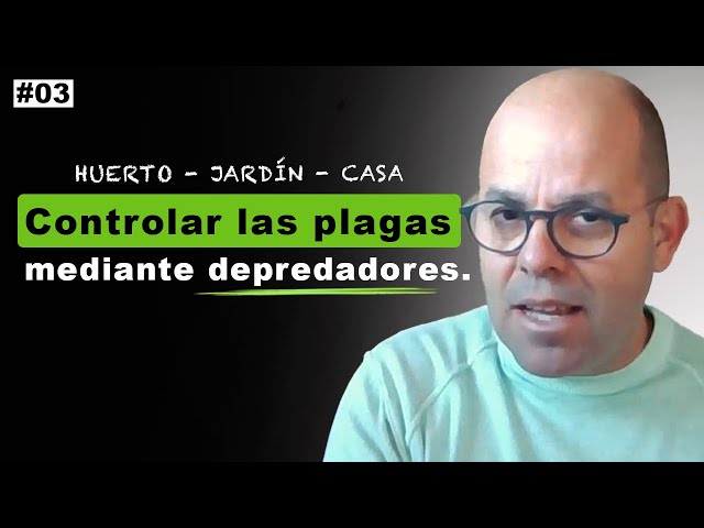 Como ELIMINAR las PLAGAS con depredadores naturales