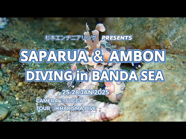 DIVING in SAPARUA ＆ AMBON BANDA SEA 25-28.JAN.2025