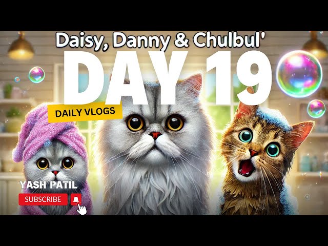 How to Bathe Cats🐱: Persian Cats & Stray Cat Tips | Daisy, Danny & Chulbul's Bath Time! 🛁✨ | Day 19