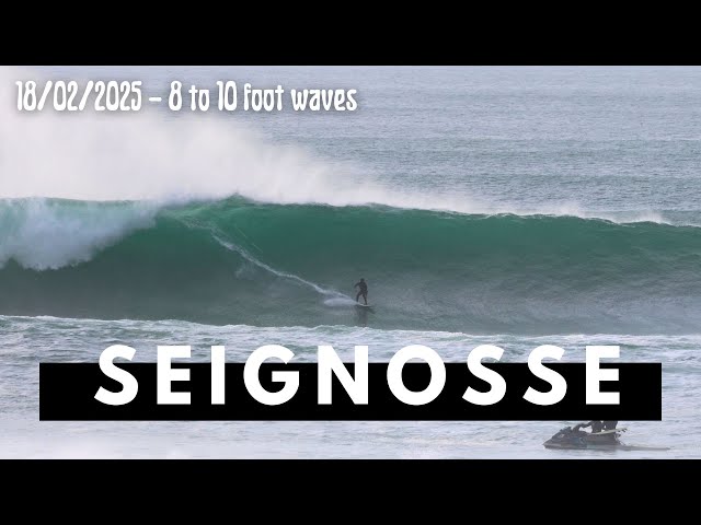 8 to 10 Foot Waves South West France - 18/02/2025 #surfing #raw #hossegor #barrelsurf