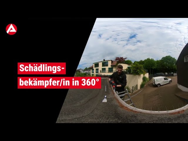 Schädlingsbekämpfer/in in 360° 🦟🕷🐜🥽