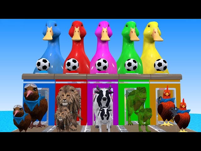 Funny Animal 3D Cartoon Paint Animals Ducks Cow Cat Rat Roster Elephant, Dinosaur, Tiger, Lion