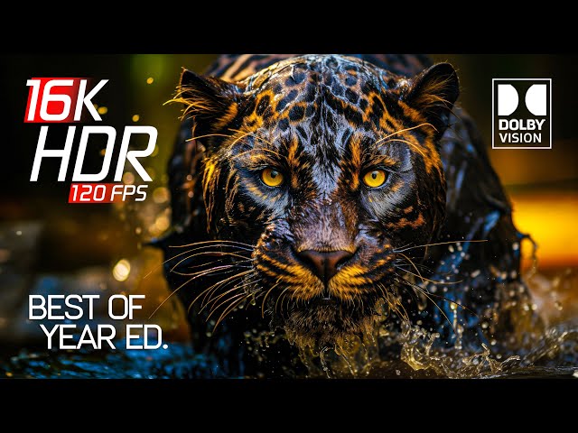 Best of 16K HDR Video ULTRA HD 120 FPS - Dolby Vision