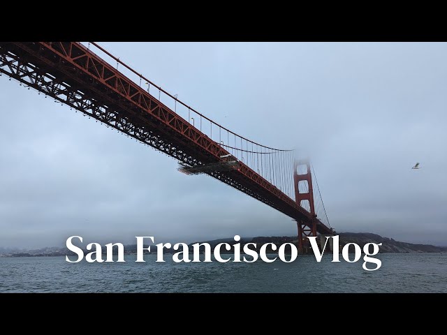 Life in San Francisco | House of Prime Rib, boat cruise, art show, catsitting, Asha Tea House