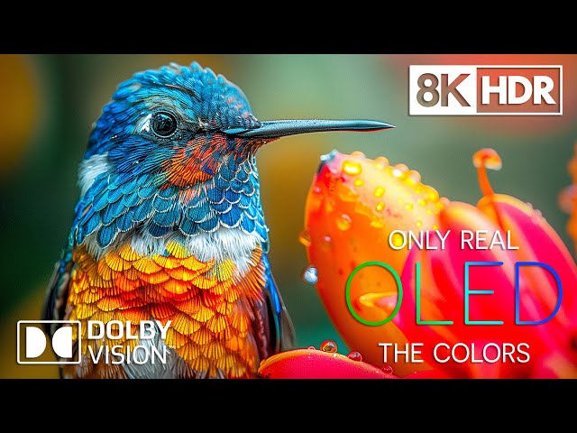 Nature’s True Essence in 8K HDR Dolby Vision 60FPS