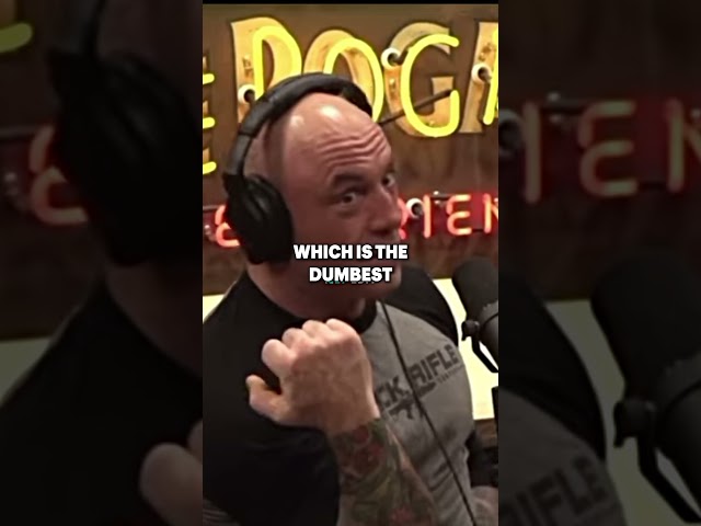 Joe Rogan Talks About Strongest Punch