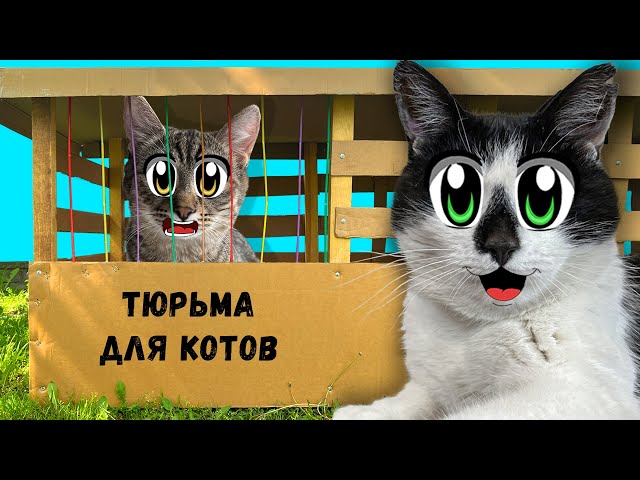 ПОБЕГ ИЗ ТЮРЬМЫ ЧЕЛЛЕНДЖ! КТО ПОСЛЕДНИЙ покинет КАРТОННУЮ ТЮРЬМУ кот МАЛЫШ или ЯНИ? 24 Часа ЧЕЛЛЕНДЖ