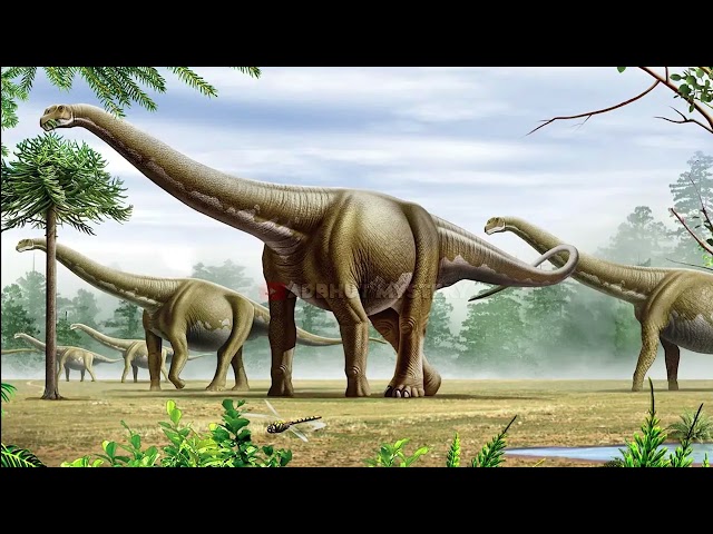 धरती पर राज करने वाले सबसे विशालकाय डायनासोर Top 6 Biggest Dinosaurs species ever on earth PART - 1