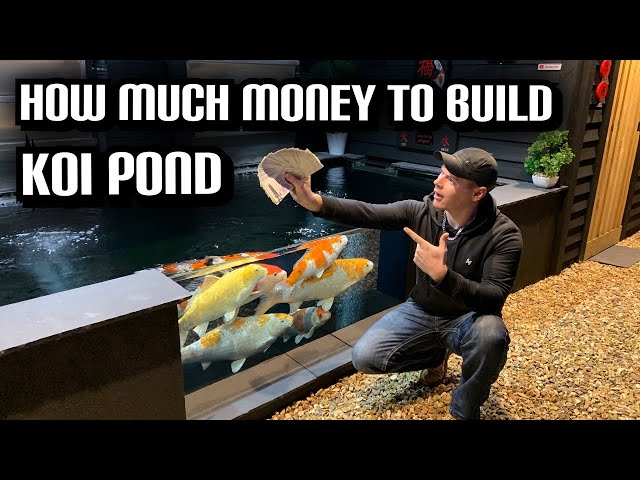 HOW MUCH MONEY DID MY DREAM KOI POND**BUILD**COST ME???