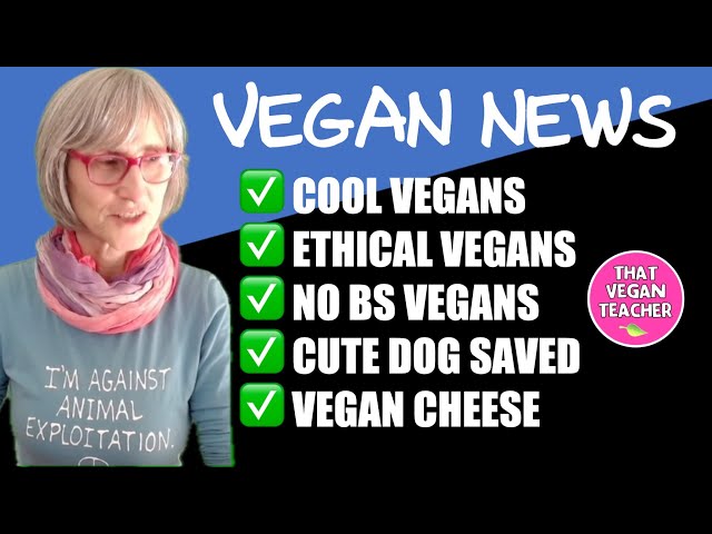 Cool Vegans, Ethical Vegans, No BS Vegans - A Dog That Was Saved! Oh… And Vegan Cheese!