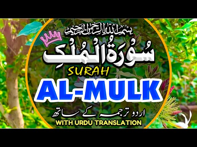 Majestic Surah Al-Mulk سورة الملك | Lofi Quran for Sleep & Deep Relaxation | Episode 106