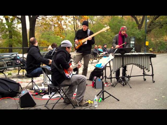 Rhythm-A-Ning • Chris Dingman Quartet • Jazz & Colors / Central Park • 11/10/12