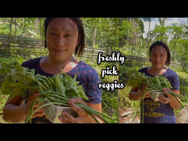 sinigang na baboy | farm to table | COUNTRYSIDE |